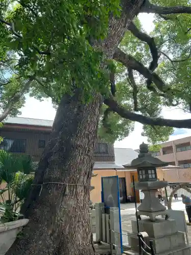垂水神社(大阪府)