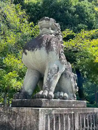 武田神社の狛犬