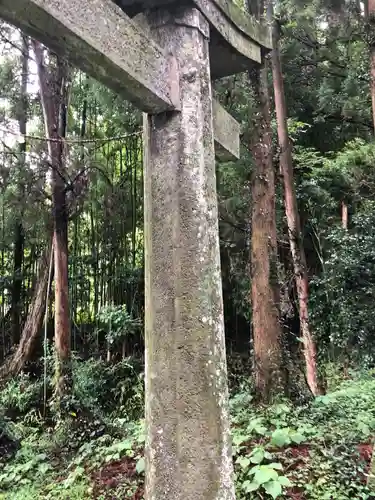 今村神宮の鳥居