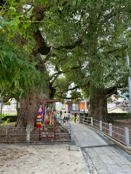 山王神社の自然