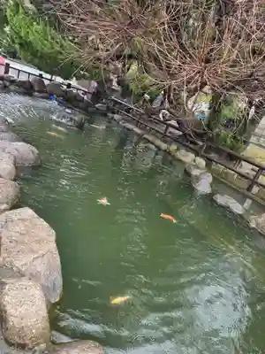 照國神社(鹿児島県)