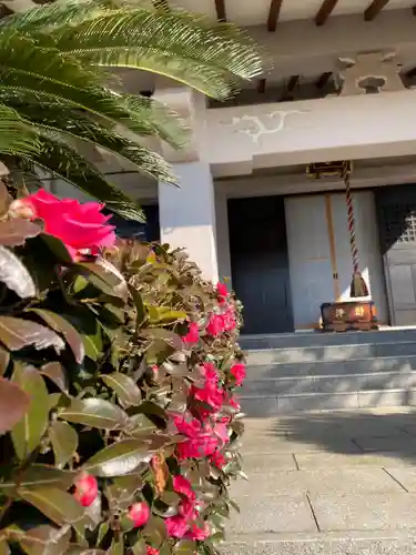 遍照寺の本殿・本堂