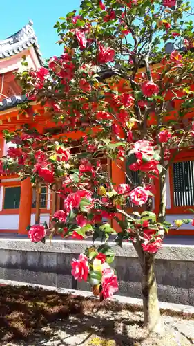 蓮華王院（三十三間堂）(京都府)