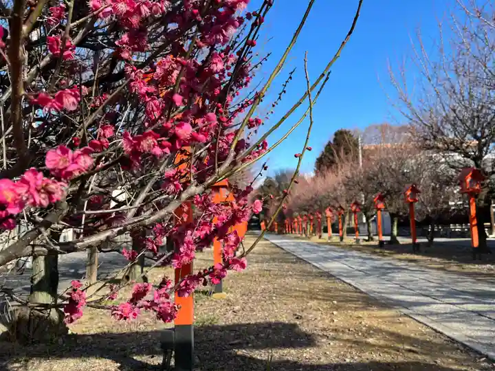朝日森天満宮(栃木県)