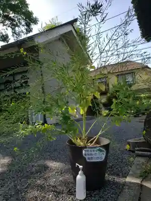 滝野川八幡神社(東京都)