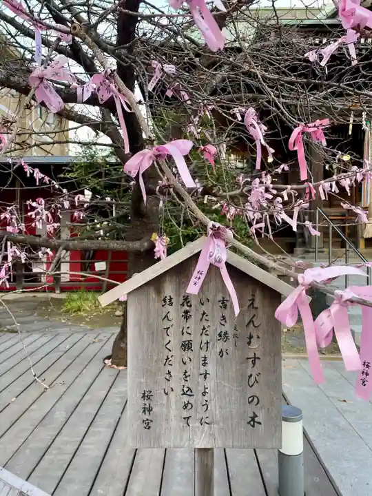 桜神宮(東京都)