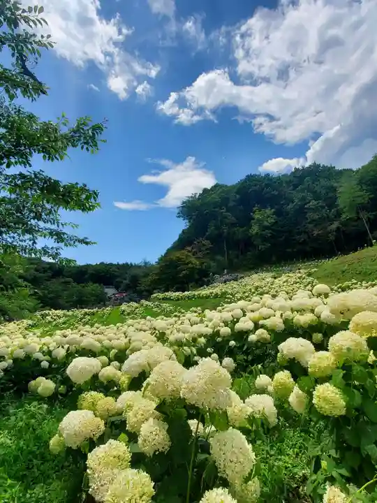 陽林寺(福島県)