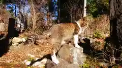 玉野御嶽神社の動物