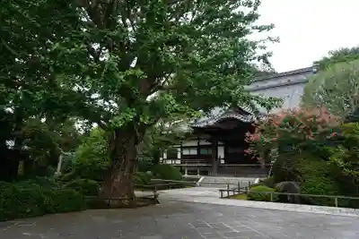 高円寺の本殿・本堂