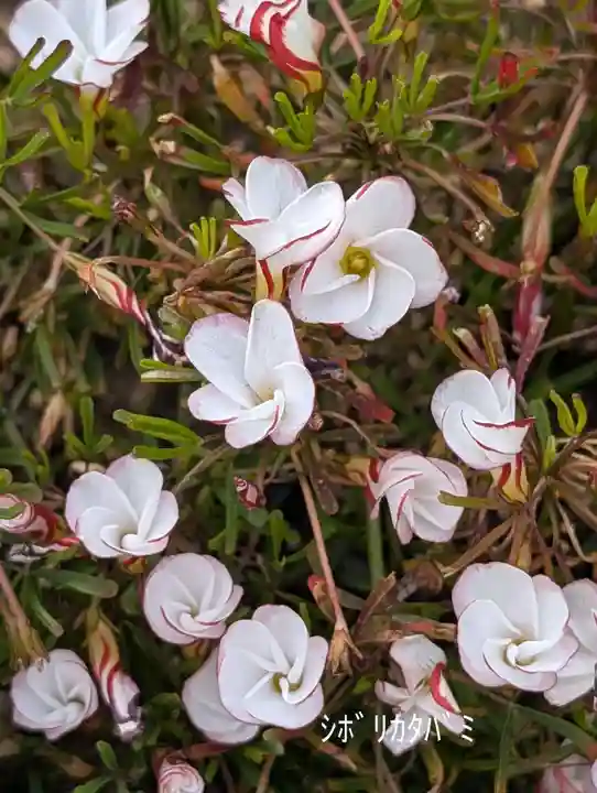 慶運寺(神奈川県)
