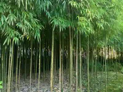 浄智寺(神奈川県)