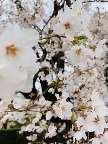 伏木香取神社の自然
