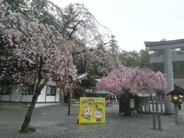 小國神社の自然