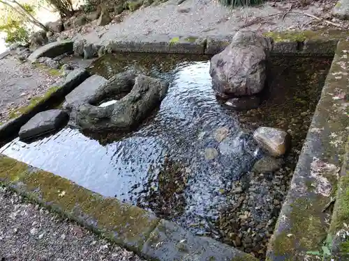 常国神社の手水