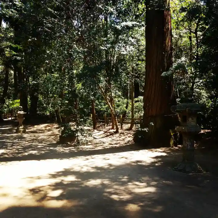 鹿島神宮の自然