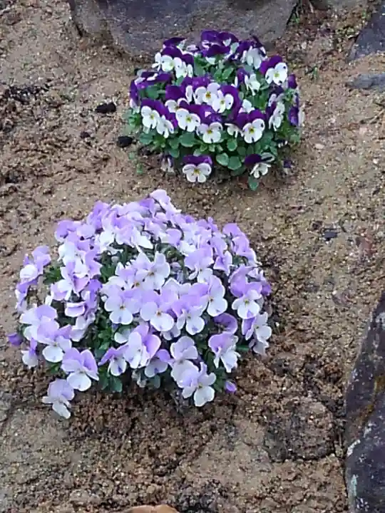 大鏑神社の自然