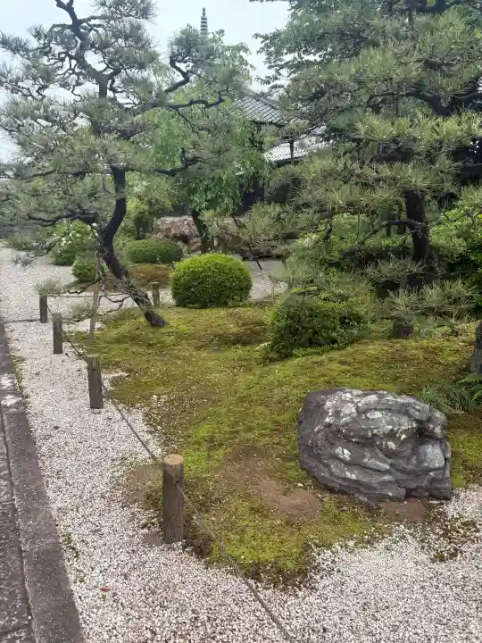 崇福寺の{uncategorized: "未分類", other: "その他", undefined: "問題あり", building: "その他建物", grave: "お墓", sacred_gate: "鳥居", guardian: "狛犬", statue: "像", buddha: "仏像", history: "歴史", nature: "自然", garden: "庭園", animal: "動物", pagoda: "塔", temizu: "手水舎", mountain_gate: "山門・神門", sanctuary: "本殿・本堂", subordinate: "末社・摂社", art: "芸術", scenery: "景色", jizo: "地蔵", ema: "絵馬", goshuin: "御朱印", omikuji: "おみくじ", items: "授与品その他", amulet: "お守り", goshuincho: "御朱印帳", eats: "食事", festival: "お祭り", votive_dance: "神楽", shichigosan: "七五三参", wedding: "結婚式", experience: "体験その他", initially: "初詣", around: "周辺", anti_infection: "感染症対策"}