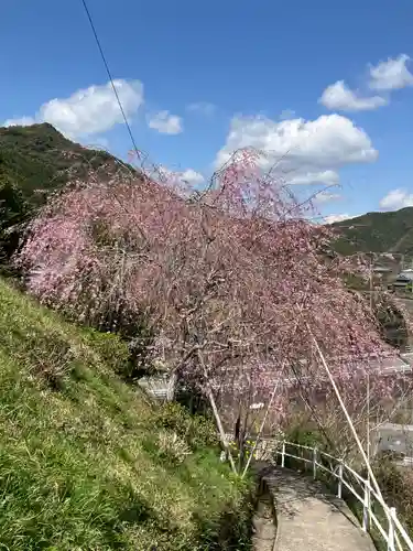 十輪寺(和歌山県)