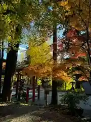 日枝神社(岐阜県)