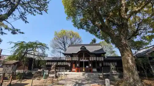 縣神社の本殿・本堂
