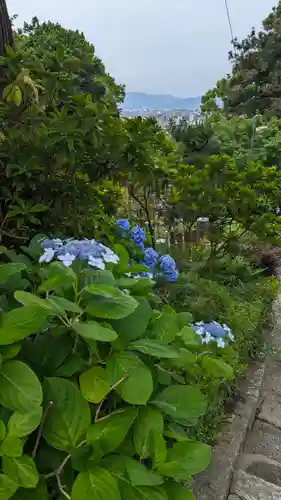 安養寺(京都府)