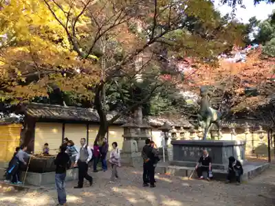 金刀比羅宮のその他建物