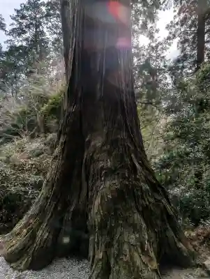 室生寺の{uncategorized: "未分類", other: "その他", undefined: "問題あり", building: "その他建物", grave: "お墓", sacred_gate: "鳥居", guardian: "狛犬", statue: "像", buddha: "仏像", history: "歴史", nature: "自然", garden: "庭園", animal: "動物", pagoda: "塔", temizu: "手水舎", mountain_gate: "山門・神門", sanctuary: "本殿・本堂", subordinate: "末社・摂社", art: "芸術", scenery: "景色", jizo: "地蔵", ema: "絵馬", goshuin: "御朱印", omikuji: "おみくじ", items: "授与品その他", amulet: "お守り", goshuincho: "御朱印帳", eats: "食事", festival: "お祭り", votive_dance: "神楽", shichigosan: "七五三参", wedding: "結婚式", experience: "体験その他", initially: "初詣", around: "周辺", anti_infection: "感染症対策"}