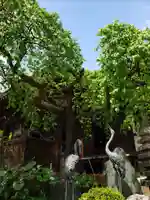 高徳寺(東京都)