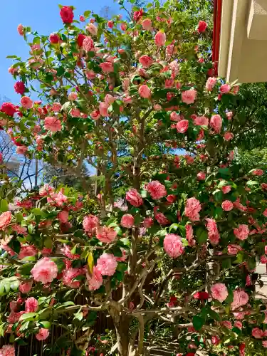 瀧澤神社の{uncategorized: "未分類", other: "その他", undefined: "問題あり", building: "その他建物", grave: "お墓", sacred_gate: "鳥居", guardian: "狛犬", statue: "像", buddha: "仏像", history: "歴史", nature: "自然", garden: "庭園", animal: "動物", pagoda: "塔", temizu: "手水舎", mountain_gate: "山門・神門", sanctuary: "本殿・本堂", subordinate: "末社・摂社", art: "芸術", scenery: "景色", jizo: "地蔵", ema: "絵馬", goshuin: "御朱印", omikuji: "おみくじ", items: "授与品その他", amulet: "お守り", goshuincho: "御朱印帳", eats: "食事", festival: "お祭り", votive_dance: "神楽", shichigosan: "七五三参", wedding: "結婚式", experience: "体験その他", initially: "初詣", around: "周辺", anti_infection: "感染症対策"}