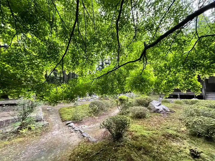上ノ院本坊 来迎院の自然