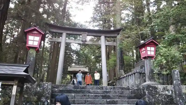 北口本宮冨士浅間神社の鳥居