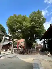 阿遅速雄神社(大阪府)