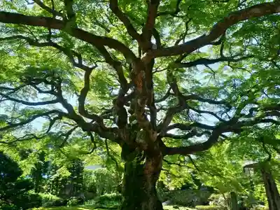 西善寺のその他建物