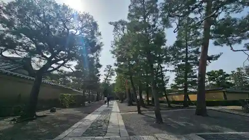 大徳寺(京都府)