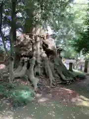 沓掛香取神社の建物その他