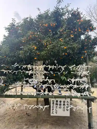 廣瀬大社(奈良県)