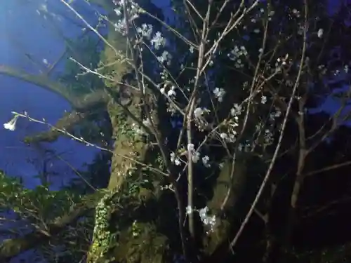 神倉神社（熊野速玉大社摂社）(和歌山県)