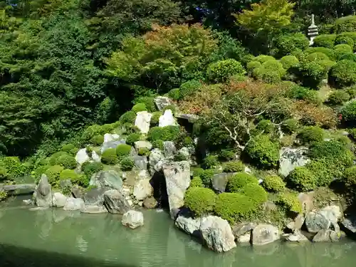 根来寺 智積院の庭園