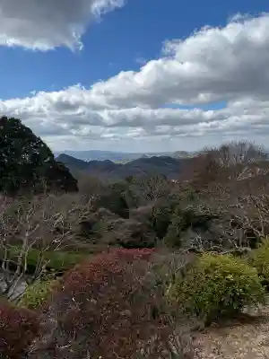 花山院菩提寺の{uncategorized: "未分類", other: "その他", undefined: "問題あり", building: "その他建物", grave: "お墓", sacred_gate: "鳥居", guardian: "狛犬", statue: "像", buddha: "仏像", history: "歴史", nature: "自然", garden: "庭園", animal: "動物", pagoda: "塔", temizu: "手水舎", mountain_gate: "山門・神門", sanctuary: "本殿・本堂", subordinate: "末社・摂社", art: "芸術", scenery: "景色", jizo: "地蔵", ema: "絵馬", goshuin: "御朱印", omikuji: "おみくじ", items: "授与品その他", amulet: "お守り", goshuincho: "御朱印帳", eats: "食事", festival: "お祭り", votive_dance: "神楽", shichigosan: "七五三参", wedding: "結婚式", experience: "体験その他", initially: "初詣", around: "周辺", anti_infection: "感染症対策"}