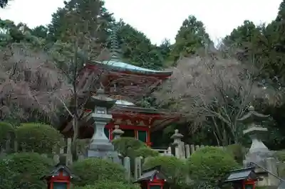 鞍馬寺の塔