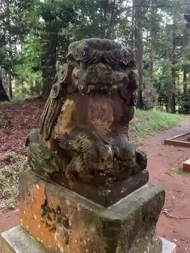 白幡神社の狛犬