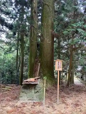 不動寺(滋賀県)