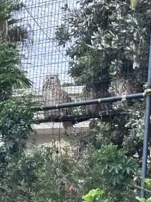 柏諏訪神社(千葉県)