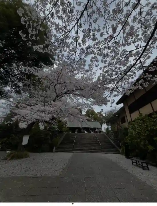 所澤神明社(埼玉県)