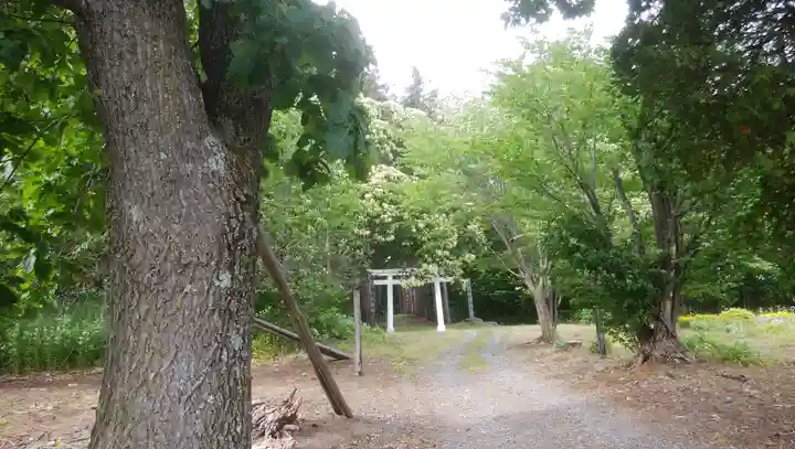 忠栄金刀比羅神社のその他建物
