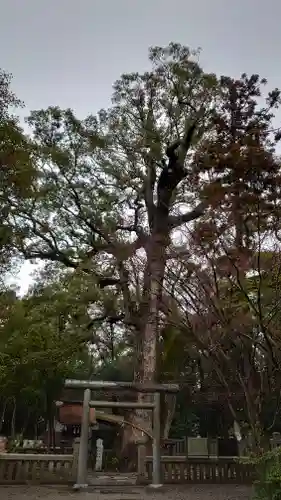 伊弉諾神宮(兵庫県)