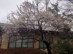 宥勝寺の建物その他