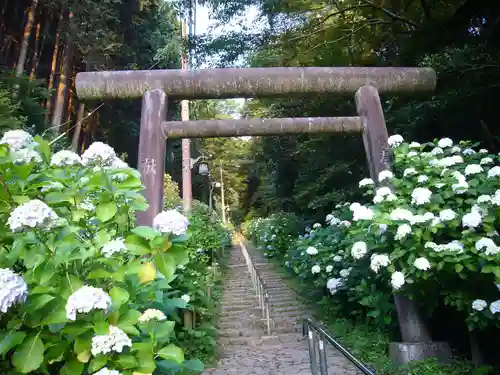 太平山神社の鳥居