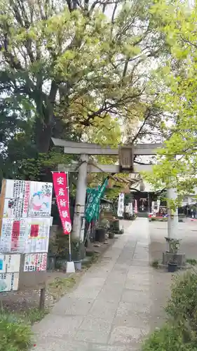 江北氷川神社の鳥居