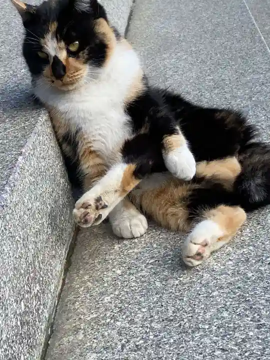 西泉寺(福島県)